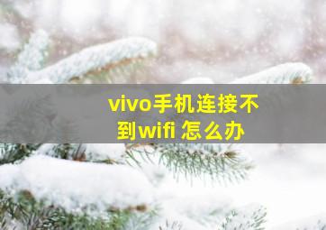 vivo手机连接不到wifi 怎么办